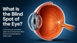 What is the Blind Spot of the Eye