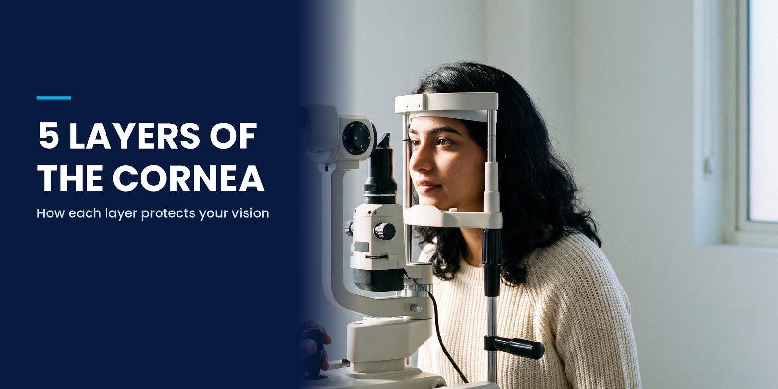 5-layers-of-the-cornea-structure-function 5 layers of the cornea structure function